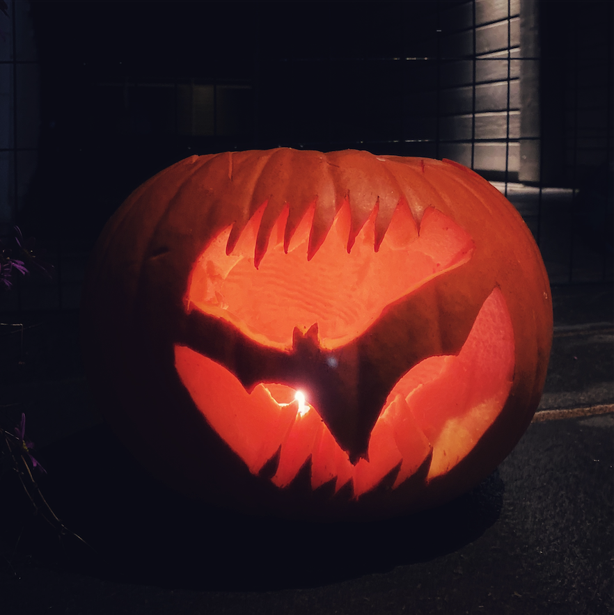 gresskar halloween flaggermus